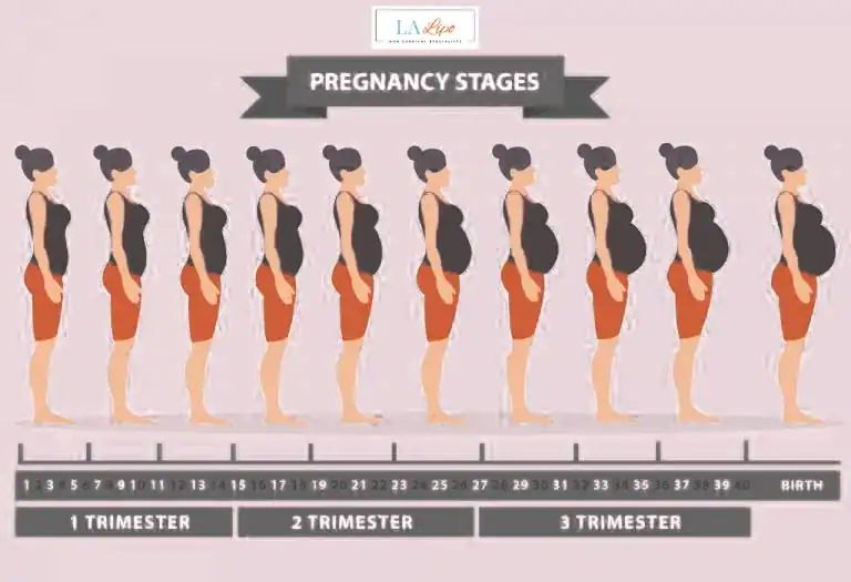First Trimester (Weeks 1–12): Early Changes You Might Not Notice Selly Oak
